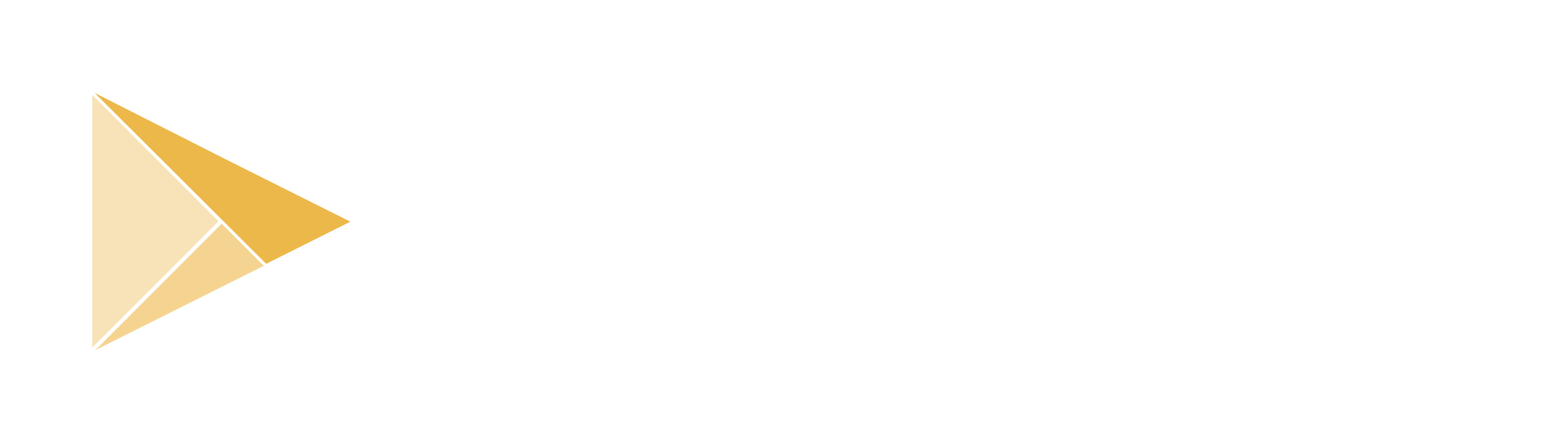 Rivest-consultant-logo-blc